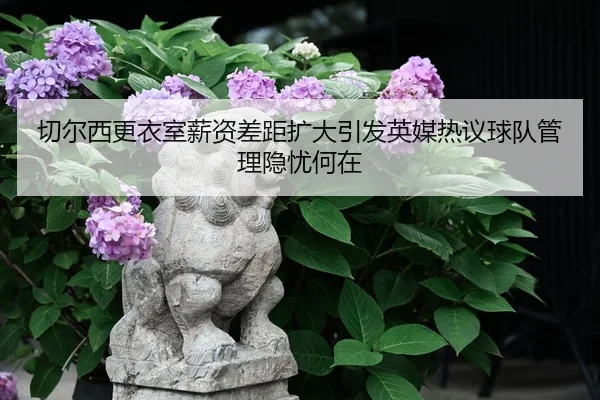 切尔西更衣室薪资差距扩大引发英媒热议球队管理隐忧何在